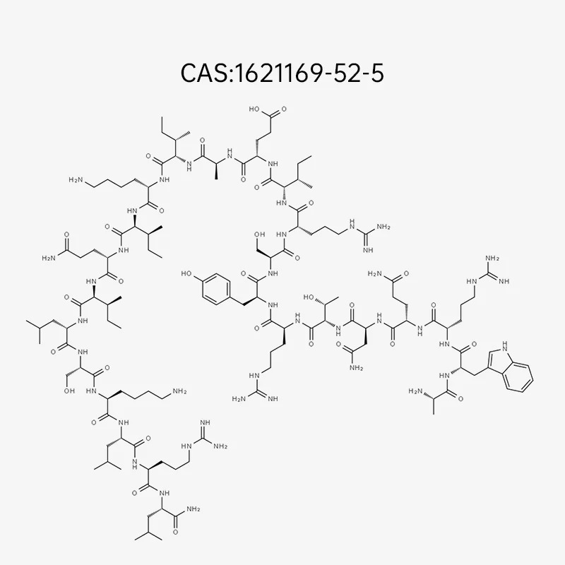 ACE-031 1mg Review: Uses Effects and Safety Overview